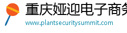 重庆娅迎电子商务